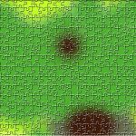 55