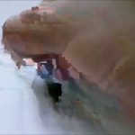 Leker's Selfie Animation2016 0402